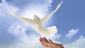 Светът отбелязва Деня на мира