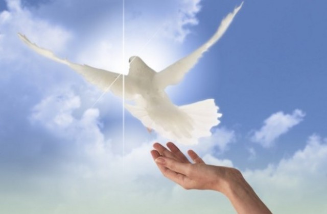 Светът отбелязва Деня на мира