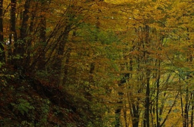 Астрономическата есен идва със студ