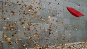 Жълт код за силен вятър и първи есенен сняг