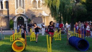 Дресировка на кучета за празника на Стара Загора