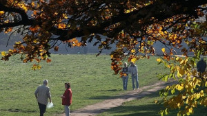 Чака ни циганско лято