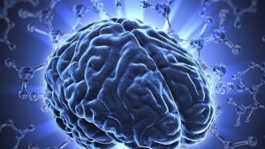 4 пловдивски университета изследват човешкия мозък