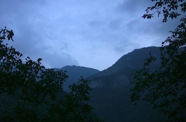 Еколози: Незаконната сеч генерира 100 млн. лв. годишно