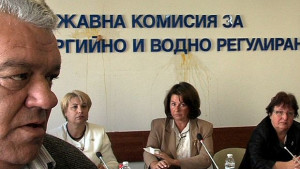 Яйца хвърчаха в ДКЕВР при обсъждането на цената на тока