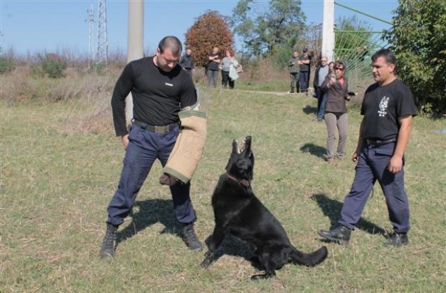 Изпити за полицейски кучета се провеждат в Търговище