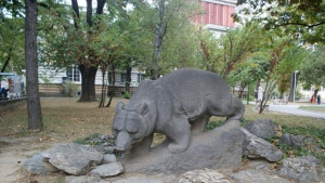 Приеми ме на село набира средства за Градинката с мечето
