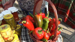 Зимнината е все почесто от магазина