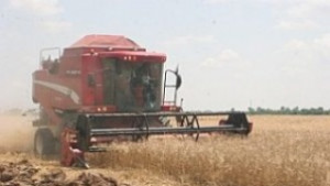 Вукодинов Няма да има нарушения в зърнения баланс на страната