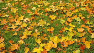 Тихо и слънчево време днес