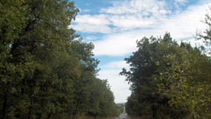 Врачанин оглави пътното в Монтана