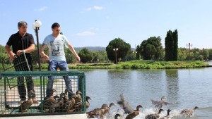 Езерото Загорка с нова свободна интернет зона