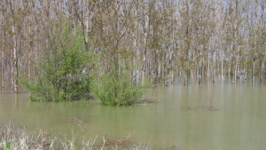 Раздават 41 420 лева на пострадали от наводненията в община