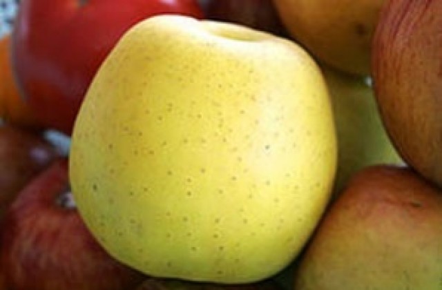 Пада цената на ябълките заради евтиния полски внос