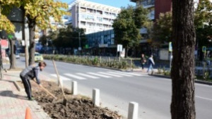 Поддържат с капково напояване зелените площи на Цар Освободител