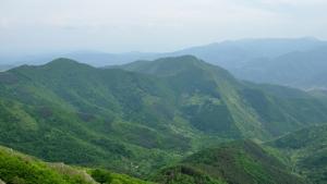 Издирват втори ден мъж в Чипровската планина