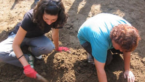 Приключи дванайстият археологически сезон на крепостта Калето в Мездра