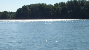 Лошото състояние на крайречните ни зони е проблем пред круизния