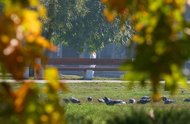 Слънчево време