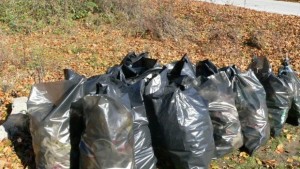 Стартира есенното почистване в Община Горна Оряховица