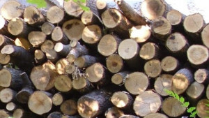 Над 10 000 заявления за помощи за отопление в Шуменско