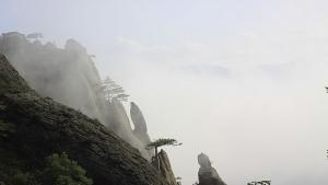 Ислямистки кроежи се мътят в Крим