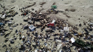 Неромантични снимки на морския бряг