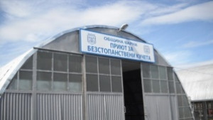 Търсят се осиновители на бездомни кучета