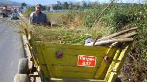 Автомобил се удари в каруца