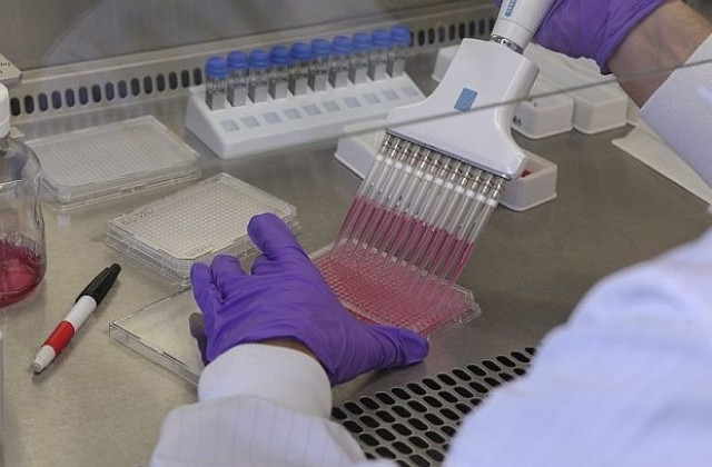 Три руски ваксини срещу ебола ще бъдат готови до шест месеца