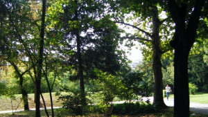 Слънчево с максимални температури до 23