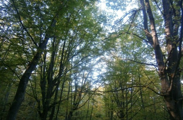 Още един слънчев октомврийски ден