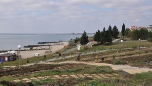 Започна озеленяването на парка в Равда