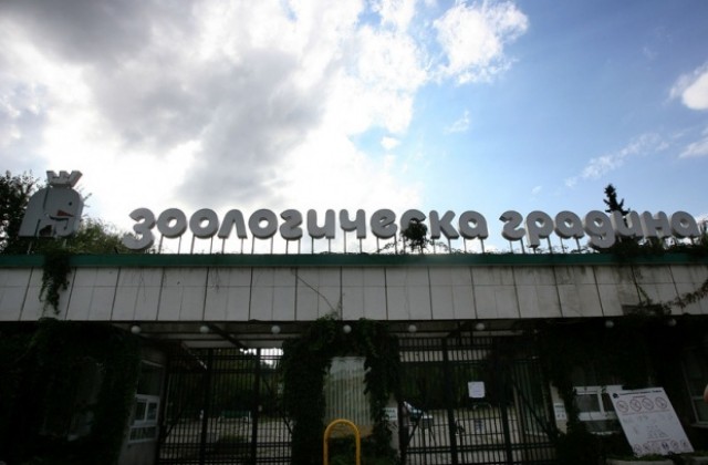 Вирусът, причинил смъртта на животните от столичния зоопарк, не е опасен за хората