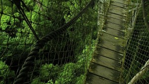 Започна изграждането на въжения град в Средна гора