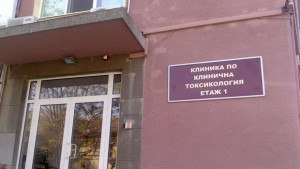 Петима починаха от гъби в Южна България