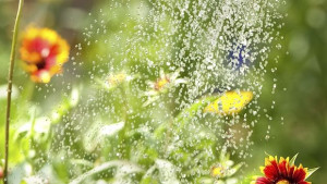 Смарт етажерка сама полива цветята