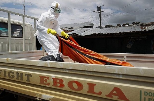 Произходът на вируса Ебола в Конго е различен от този в Западна Африка