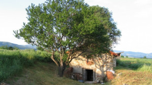 Продължава кампанията по набиране на средства за спасяването на храм