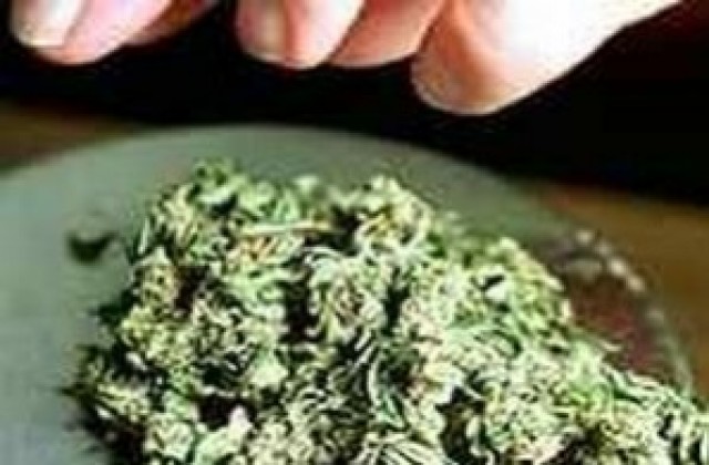 Задържаха хасковлия със 100 грама марихуана