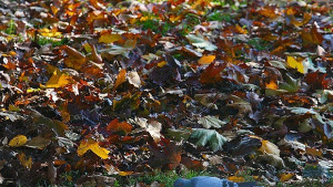 Времето Слънчево но не и по морето