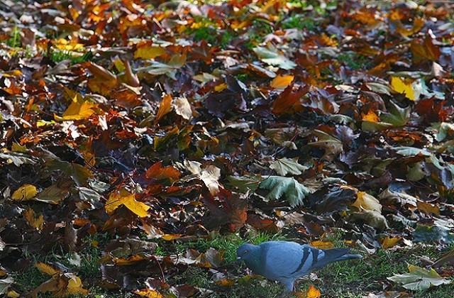 Времето на 18 октомври: Слънчево, но не и по морето