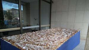 Севлиевският тиквеник тази година е дълъг 255 метра