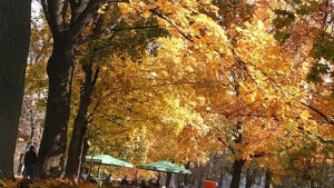 Времето остава слънчево и топло