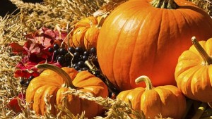 Найвкусните и здравословни есенни плодове и зеленчуци