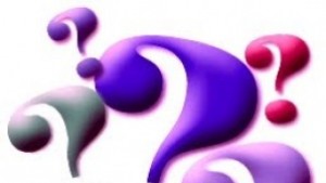 Търси се собственика на папагал птичето е хванато в Соволяно