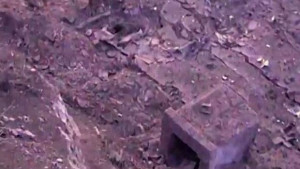 Военни от ВФ28 880 прочистиха 265 дка в Горни Лом