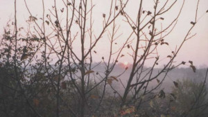 Ниски температури и валежи от сняг до края на седмицата