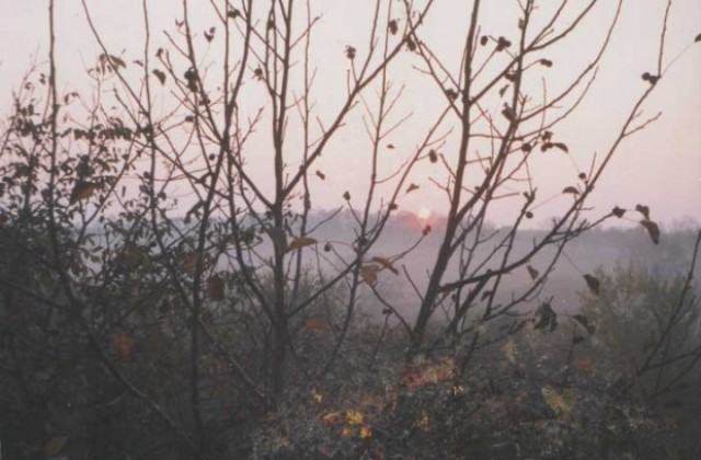 Ниски температури и валежи от сняг до края на седмицата