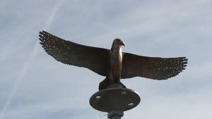 Месингови соколи пазят Монтана от днес